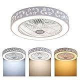 Sólo responsabilidad por el producto que se compra de TPLAU. Estilo de luz de techo con ventilador invisible, solo en interiores, ventilador de techo de 52 cm.