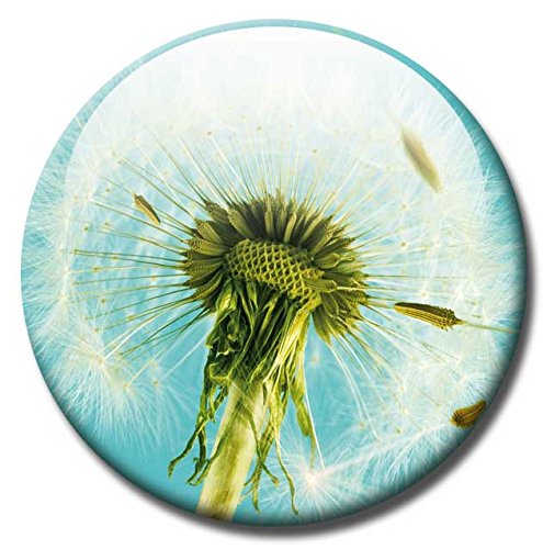 Magnettafel Pusteblume – Himmlische Design Magnettafel 60×40 cm – Pinnwand Memoboard mit Motiv: Pusteblume inkl. 6 Magnete mit Pusteblumenmotiven – Original Magnetpinnwand GUMA Magneticum - 4