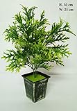 N.Magic Creations Artificial Bonsai Plant Tree Green Grass Two Color Leaves with Pot Natural, Gifting Purpose.