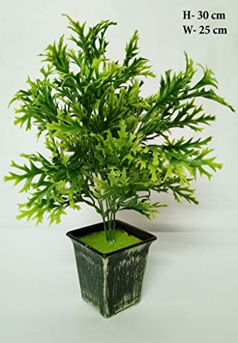 N.Magic Creations Artificial Bonsai Plant Tree Green Grass Two Color Leaves with Pot Natural, Gifting Purpose.