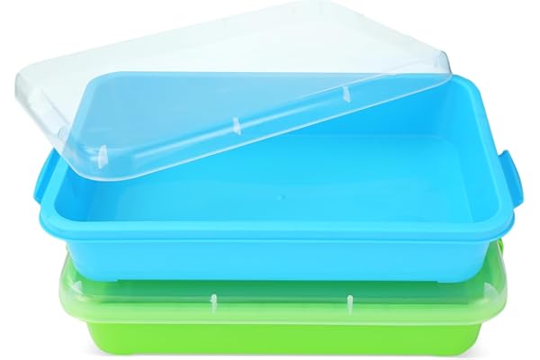 Lot de 2 Plateaux de Jeu Sensoriels Portables de 15 Pouces avec Couvercle pour Enfants - Bac à Sable avec Espace pour Eau,Sable,Perles(Vert,Bleu)