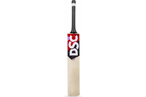 DSC Scorer Kashmir Willow Cricket Bat Short Handle Men's