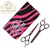 CANDURE® - Pink Zebra 5.5" Gift set Hairdressing & Hair Thinning Scissors Barber Salon Shears + Scissors Pouch (SAL-106)