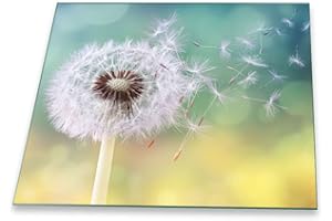 DECORWELT Tabla de cortar de 1 pieza, 60 x 52, diseño de diente de león, color blanco, multicolor, protección contra salpicaduras, placa de vitrocerámica, protector de vitrocerámica, cristal de seguridad,