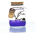 PETSTARCX Aegagropila Linnaei Moss Balls Glass Multi Color Aquarium Kit Micro LandscapeHouseplant HomeOfficeGlass Decorative Bottle Birthday Gift (7)