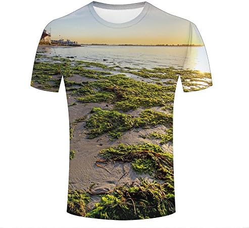 Men Women 3D Printed T-Shirts Algae On The Beach Graphic Summer Casual Short Sleeve Tees Tops XXXL