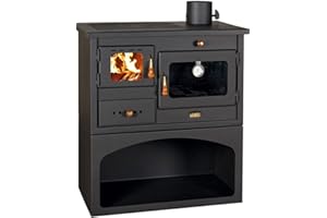 Holzofen Herd 10 kW Gusseisen Top Log Burner Holzofen Prity 1