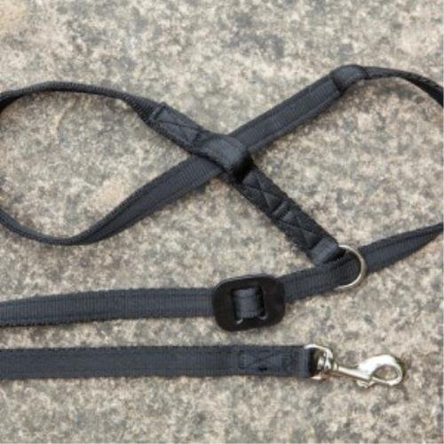 Gencon-All-In-1-Clip-To-Collar-Dog-HeadcollarHalter-Lead-In-One-Black