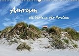 Amrum, die Perle in der Nordsee (Wandkalender 2016 DIN A3 quer): Lassen Sie sich verzaubern von der naturbelassenen Dünenlandschaft Amrums. (Monatskalender, 14 Seiten) (Calvendo Natur) by