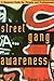 Street Gang Awareness: A Resource Guide for Parents and Professionals by 