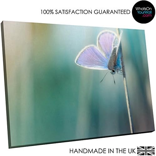 Large A243FF Framed Canvas Print - Modern Wall Art - HD Quality Picture - 100% Guaranteed - Teal Forest White Butterfly - Living &amp; Bedroom Home Décor with Easy Hang Guide - 120cm x 80cm - WOYW