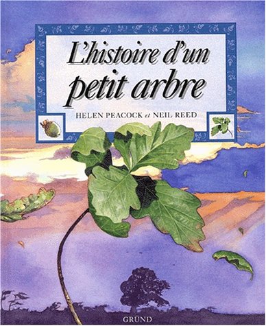 couverture de : L'Hitoire d'un petit arbre