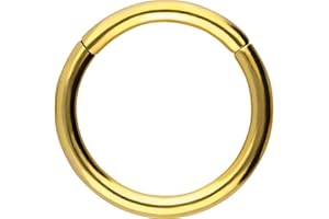 PIERCINGLINE Segmentring Clicker aus Chirurgenstahl - Piercing Ring in Gold, Silber, Rose, Schwarz oder Blau - für Nase, Septum, Ohr, Helix oder Tragus