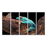 islandburner Cuadro Cuadros Impresión sobre Lienzo - Formato Grande - Cuadros Modernos Rana...