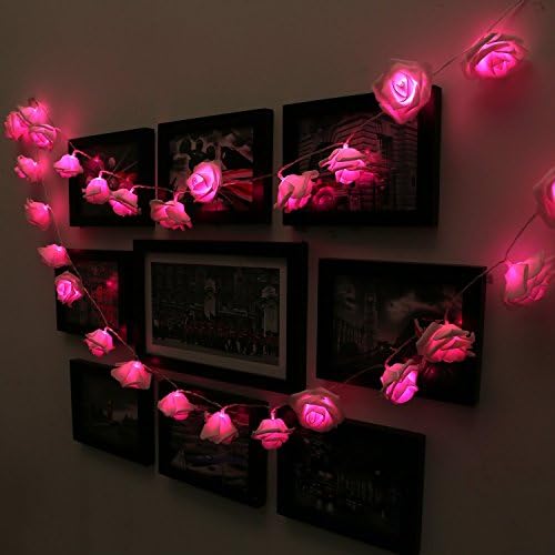 DeKaWei 30 LED Battery Operated Rose Flower Fairy Lights Bedroom Wedding Decoration LED String (Pink)