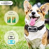 ★ NIVELES DE INTENSIDAD AJUSTABLE de pitidos y vibraciones son inofensivos para su perro. El modo de protección automática se activa si el collar ofrece 7 correcciones en un período de 1 minuto. La pantalla digital LCD permite una configuración rápida y fácil.