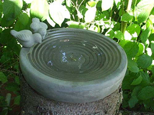Dekoratives Vogelbad, Vogeltränke, Wasserstelle, Beton, 30 cm