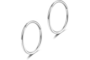 Lantine 16g 18g 20g Nose Rings Hoop G23 Titanium Hinged Segment Septum Rings Seamless Clicker Sleeper Daith Tragus Helix Cartilage Piercing Hoop Earrings