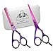 Produktbild BeautyTrack - 5,5 Friseurschere, Schere Barber Salon - Schere - Messerschliff-Haar, Schneiden die Haar Schere – AUSDÜNNSCHERE Schnitt Effilierschere, recht Handed Giftset Frisur & Haar Schere
