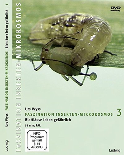 Preisvergleich Produktbild Faszination Insekten-Mikrokosmos 3, Blattläuse leben gefährlich