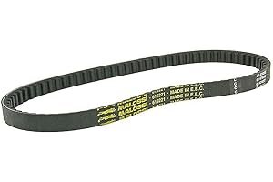 Malossi Courroie en V compatible pour Honda SH 50 2T, SGX SKY 50 2T, X8R X - X8R S 50 2T, Sym JOYRIDE Evo I 200 ie 4T LC