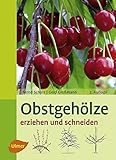 Image de Obstgehölze erziehen und schneiden