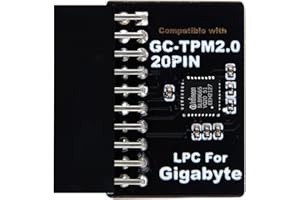 NewHail Módulo TPM2.0 LPC de 20 pines con Infineon SLB9665 para placa base Gigabyte compatible con GC-TPM2.0