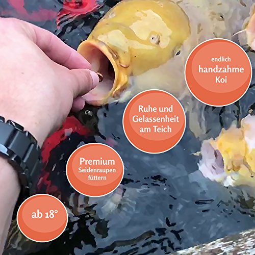 Seidenraupen Koi-Futter getrocknet 3kg – Raupen auch als Fischfutter, Reptilienfutter & Schildkrötenfutter geeignet – das Protein-Leckerli als Zusatzfutter kaufen - 4