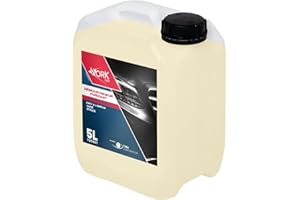 WORKCAR Démoustiqueur puissant Voiture Moto 5l Pro