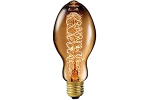‎LUMINEA Luminea Retro Glühbirne: Vintage-Schmucklampe, gewölbt, mit spiralförmigem Glühdraht (Glühbirne Vintage, Retro Leuchtmittel, Filament)