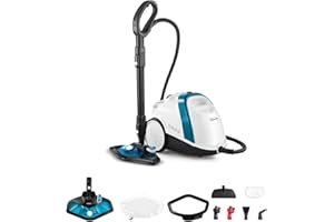 Polti Vaporetto Smart 100_B Steam Cleaner, Unlimited Autonomy, High Pressure Boiler 4 Bar, 9 Accessories