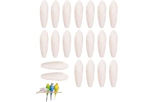 ZKUNL Set med 20 st sepiasnäckor 4~5 cm för fåglar, sköldpaddor, reptiler - naturliga tuggleksaker för papegojor, bläckfisk och husdjur (liten storlek)