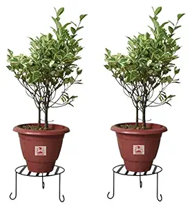 Erbanize 23 cm Iron Plant Stand/Planter Stand/Flower Pot Stand/Plant Holder, for Home, Office, Balcony, Living Room. Set of 02 Pcs