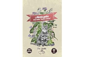GENERICO Erba gatta,Menta gatta,Nepeta cataria,gr 0,3,semi rari,semi strani,orto strabilia