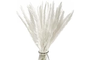 SONGJUM 30 Pezzi Naturali Secchi Pampa Erba Vera pennacchi Phragmites Bouquet Fiori Secchi Decorativi Decorazione della casa Bouquet Matrimonio Decor Utilizzato in Soggiorno Sala da Pranzo Decor (Bianco)