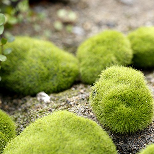 shiningup Simulation Moos Stein Garten Miniatur-Craft Micro Landschaft Dekorationen, plastik, 6cm