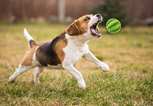 MixMart-Natural-Rubber-Dog-Toy-Balls-26in-with-Minty-Scent-2-Pack-Grass-GreenMint-Green