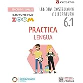 Practica Lengua 6 Actividades (6.1-6.2-6.3) (Comunidad Zoom)