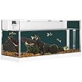 Lidzopas Fish Tank, Rectangular Aquarium Tank Clear Acrylic Aquarium Tank Top Circulating Filtration System, Silent Water Pump for Goldfish Small Fish& Home Office Desktop Decorative,38x14x18cm