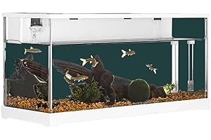 Lidzopas Tanque de peces, tanque rectangular de acrílico transparente, sistema de filtración circulante, bomba de agua silenciosa para peces dorados, peces pequeños y decoración de escritorio para