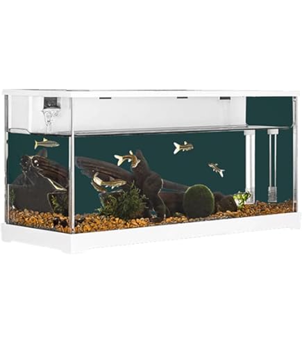 Aquarium - PawHut - Avec Lumières LED, Pompe à Filtre - En Verre 20L