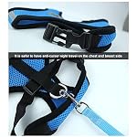 Aolvo-Kit-con-guinzaglio-e-pettorina-in-maglia-traspirante-regolabile-con-pettorina-imbottita-per-cani-di-piccola-taglia-piccoli-animali-domestici-gatti-e-cuccioli