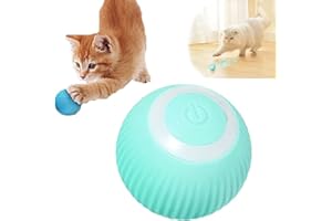 GUSHE Power Ball 2.0 Cat Toy, Aiveys-Aiveys Cat Ball, Gertar Cat Toy, Smart Cat Toys Automatic Rolling Ball Electric Cat Toys, Self Moving Cat Ball, Interactive Cat Ball, USB Rechargeable (Blue)