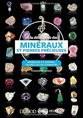DUNOD À la découverte des minéraux et pierres précieuses - Minéraux et gemmes, sachez les reconnaître