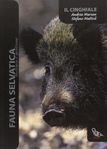 Il cinghiale