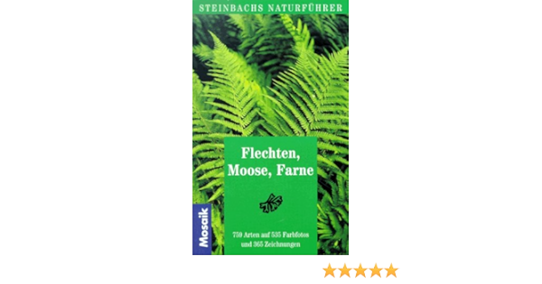 Flechten Moose Farne Steinbachs Naturfuhrer Amazon De Gunter Steinbach Bruno P Kremer Hermann Muhle Bucher