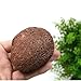 Natural Volcanic Rock Pumice Stone Foot Stone Remove Horny Calluses