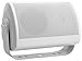 Price comparison product image Pronomic OLS-10 WH White Outdoor Speaker 100 W