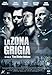 La Zona Grigia