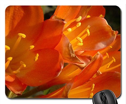 Preisvergleich Produktbild New Memory Mouse Pad, Mousepad (Flowers Mouse Pad)